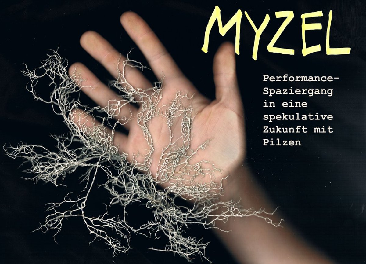 Myzel