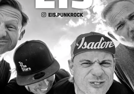 EIS