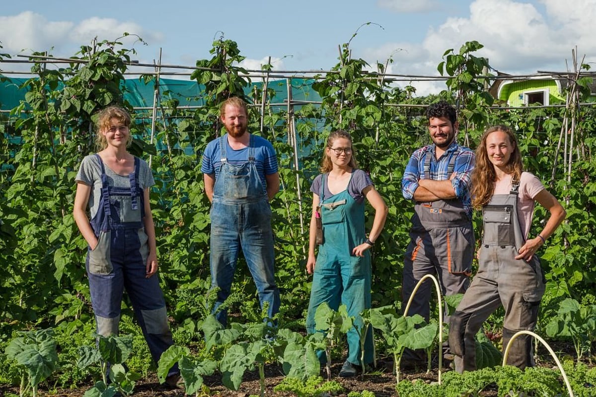 Das Ernährungssystem braucht ein Miteinander