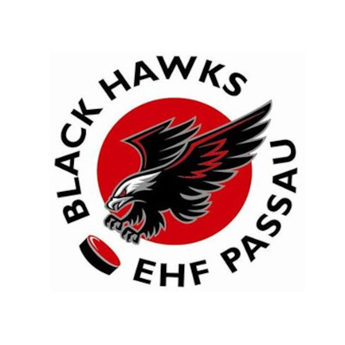 Eishockey – Erding Gladiators vs. EHF Passau Black Hawks