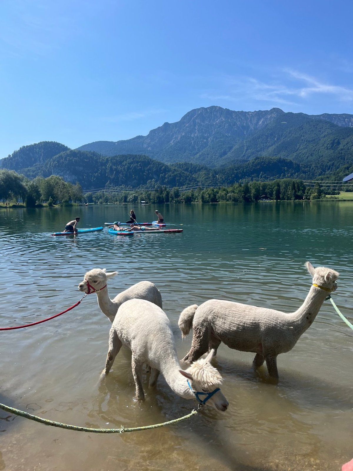 Lago di Love
