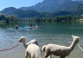 Lago di Love