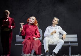 Der Besuch der alten Dame