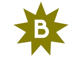 Der Erinnerungsmensch