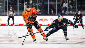 Red Bull München vs. Grizzlys Wolfsburg
