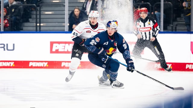 Red Bull München vs. Nürnberg Ice Tigers