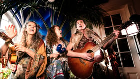Das Hippie Kammerorchester