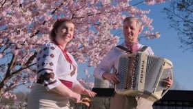 Duo Ostrovski