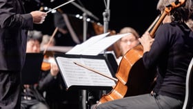Neujahrskonzert