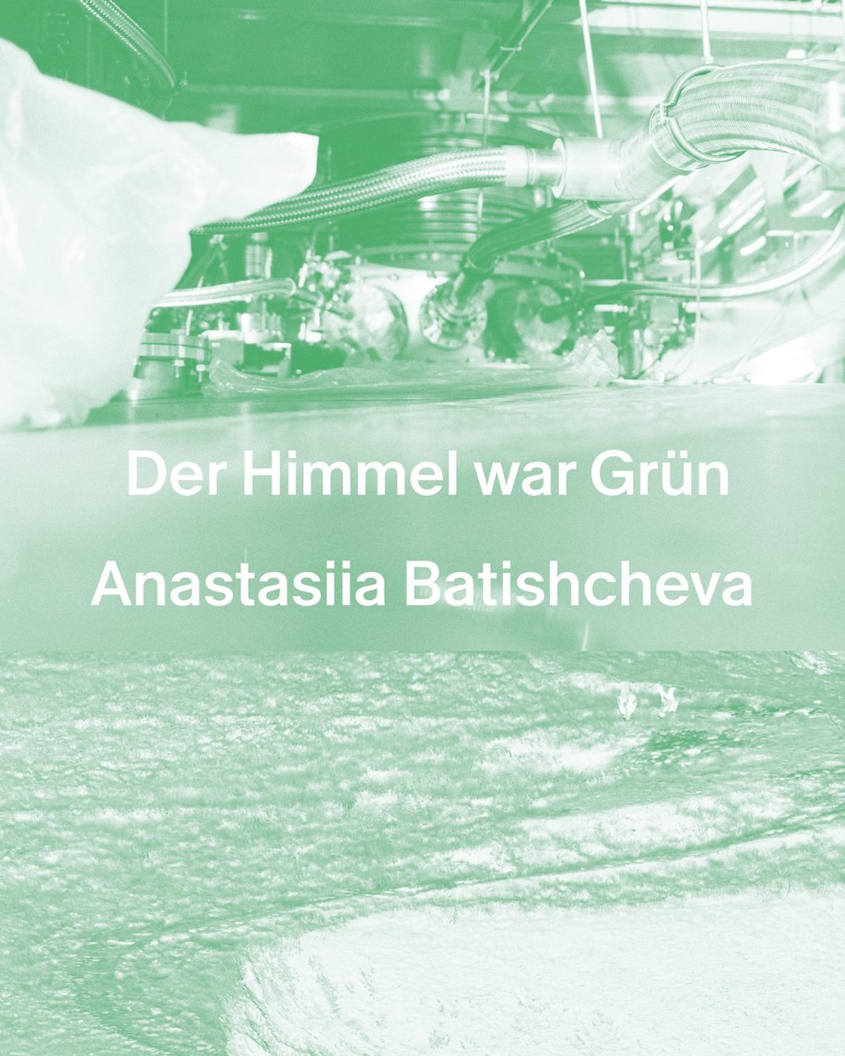 Der Himmel war Grün – Anastasiia Batishcheva