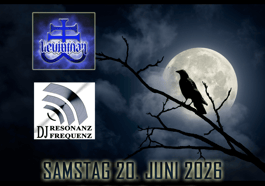 Dark Night
