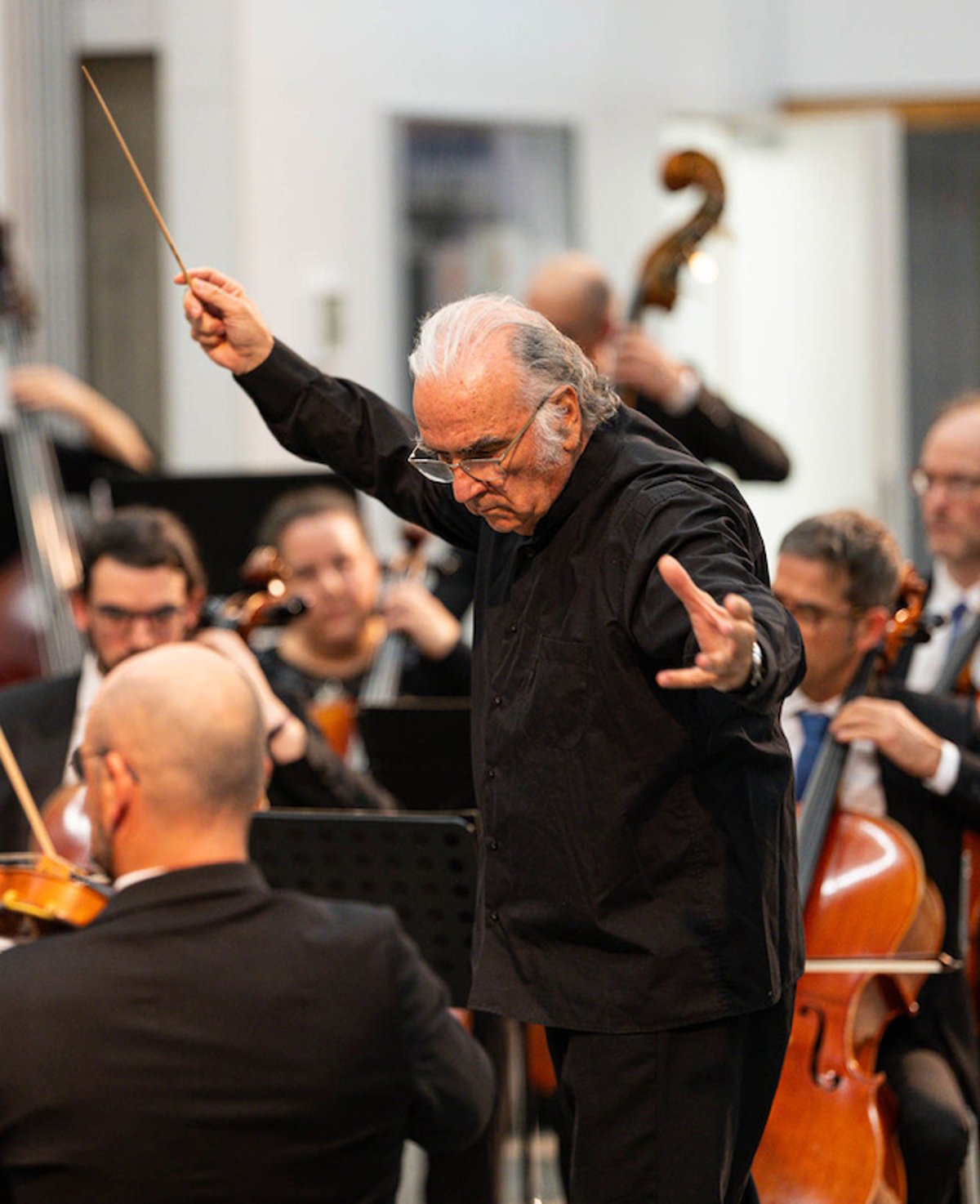 Bruckner Akademie Orchester
