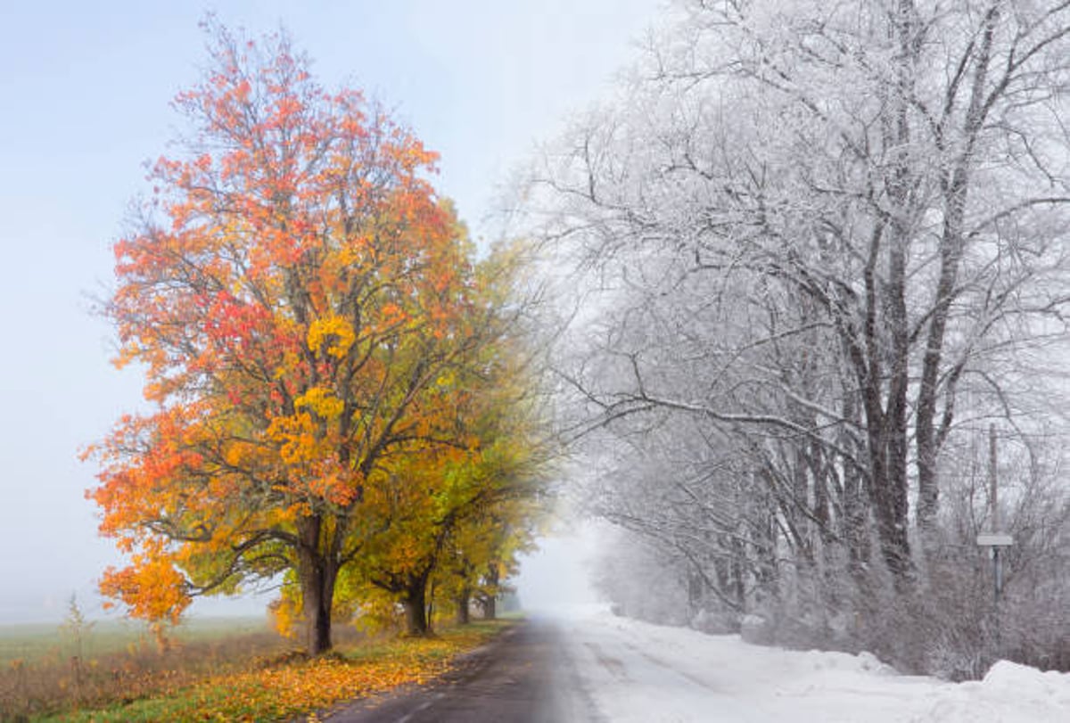 Die Jahreszeiten: Herbst und Winter