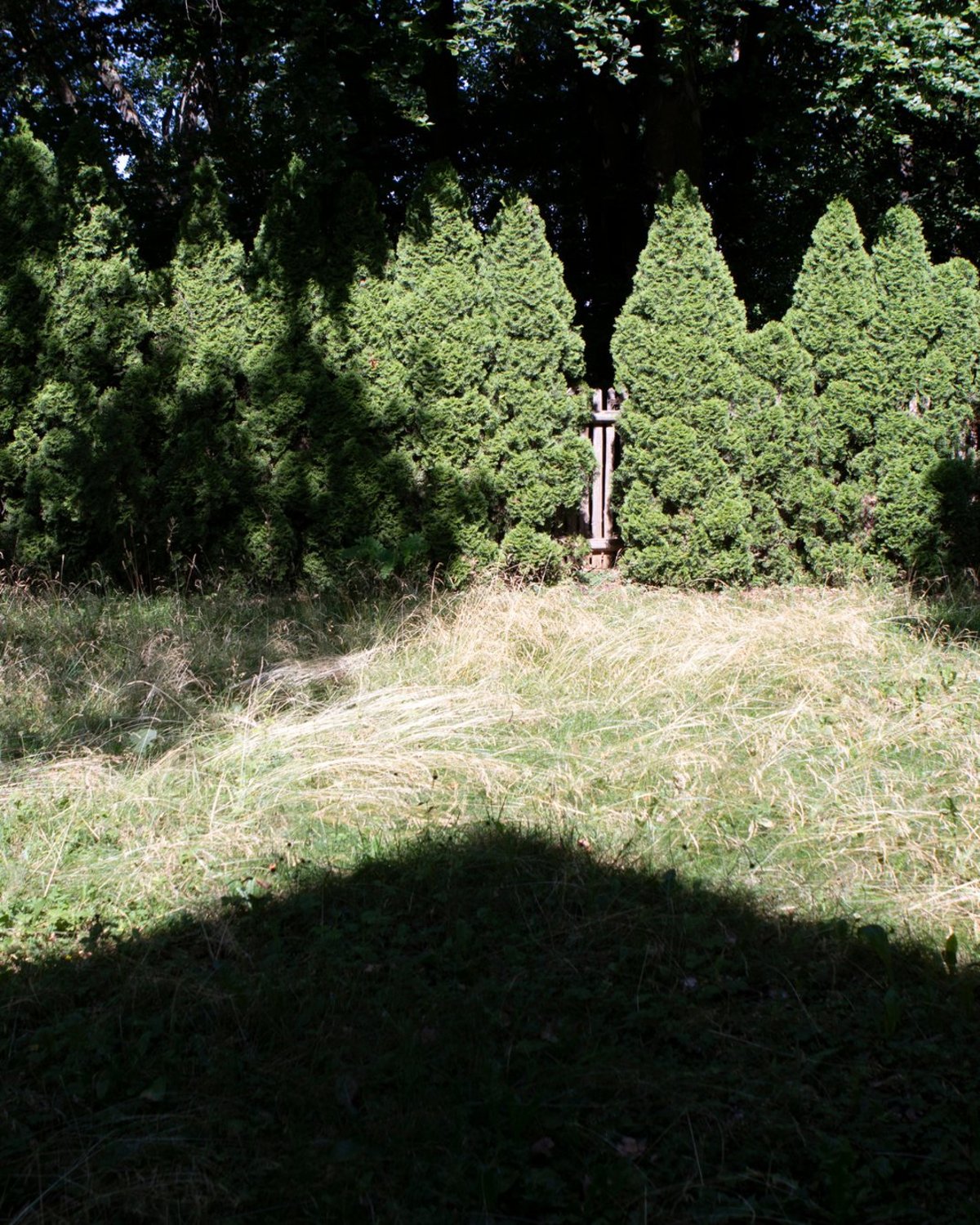 Klänge pflanzen. Ein Garten-HörSalon.