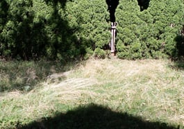 Klänge pflanzen. Ein Garten-HörSalon.