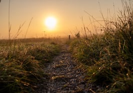 „Heide im Licht“. Fotografische Einblicke, neue Perspektiven