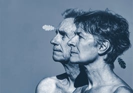 Faltsch Wagoni – Die letzten Ironesen