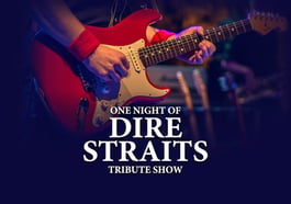 One Night of Dire Straits