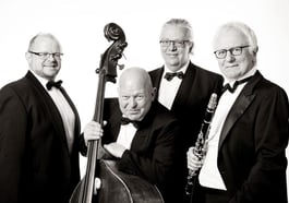 Rainer Sander Swing Wing