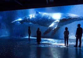 Polarwelten – Die immersive Ausstellung über Arktis und Antarktis