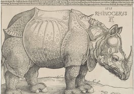 Albrecht Dürer – das Genie der deutschen Renaissance