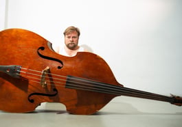 Der Kontrabass