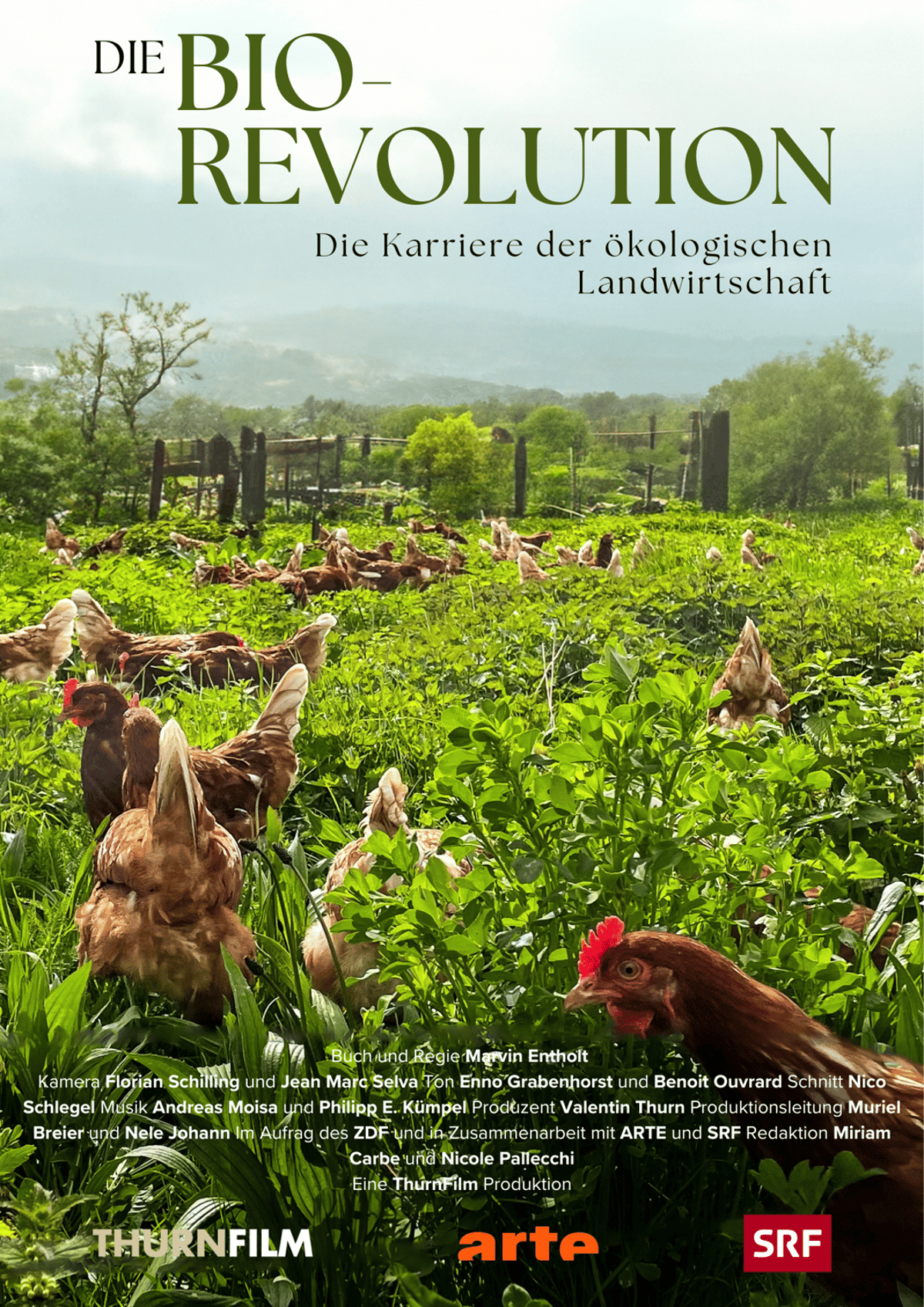 „Die Bio-Revolution“ – Die Karriere der ökologischen Landwirtschaft