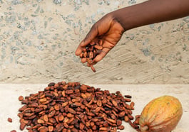 Carolin Hirschfeld: Take Care – A village’s story beyond cocoa