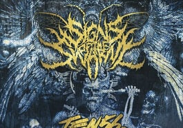 Signs of the Swarm