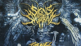 Signs of the Swarm