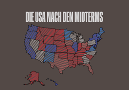 Die USA nach den Midterms