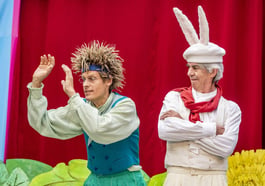 Der Hase und der Igel