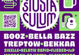 Musik- & Kulturfestival StuStaCulum