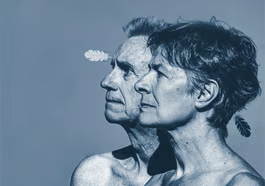 Faltsch Wagoni  – Die letzten Ironesen