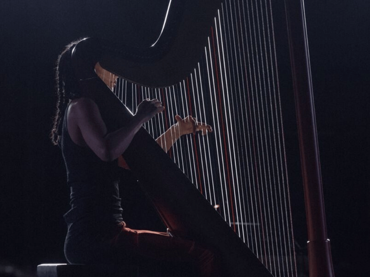 TUNE Installation | Miriam Adefris. A Hundred Vast proximities