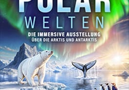 POLARWELTEN – Die immersive Ausstellung über Arktis und Antarktis