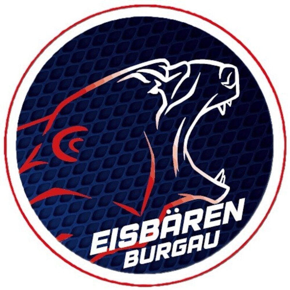 Eishockey: EHC Klostersee – ESV Burgau 2000