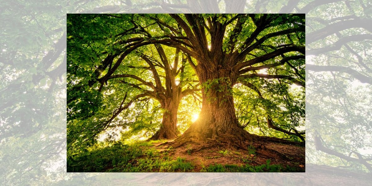 Stabilität und Sicherheit durch spirituelles Bewusstsein