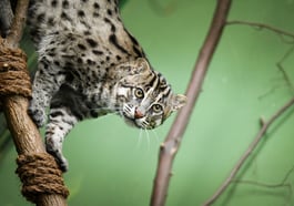 „Hellabrunn unter der Lupe“ – Natur entdecken mit dem Binokular