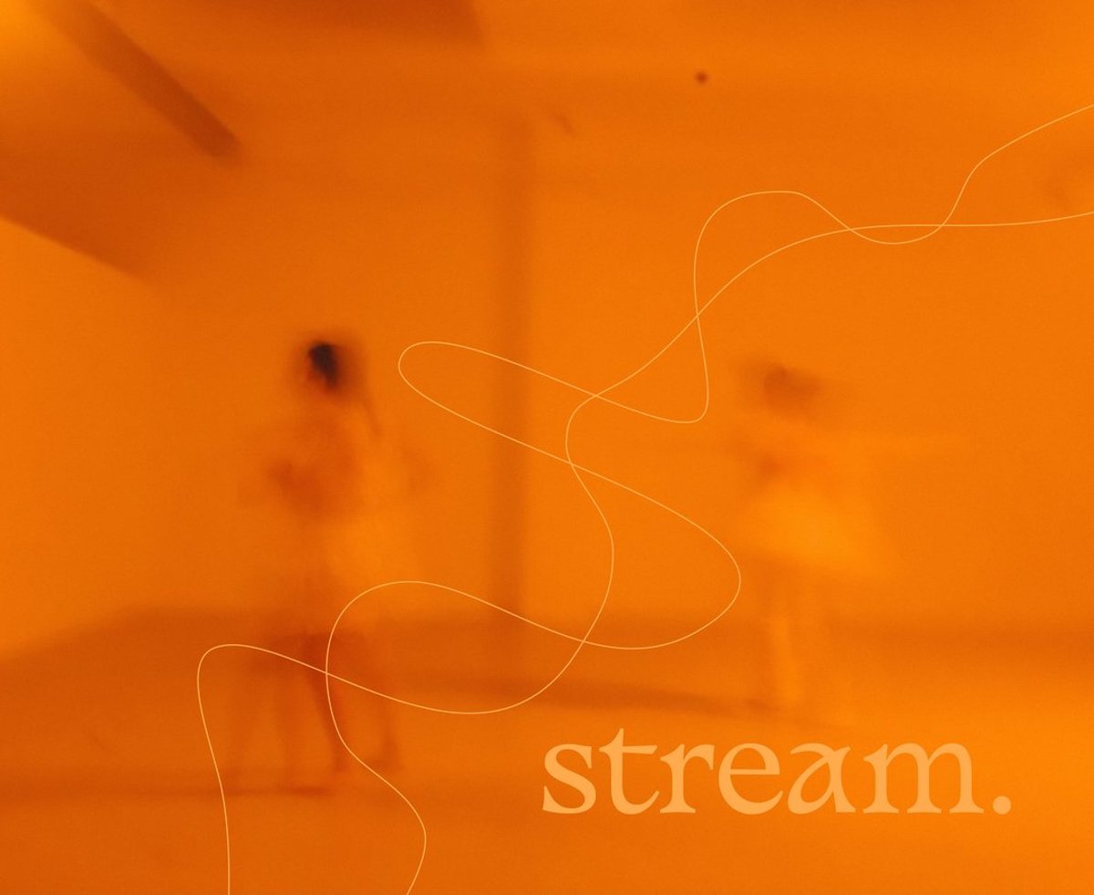 Alexandra Paál: stream