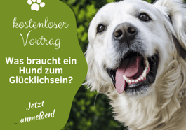 Was braucht ein Hund zum Glücklichsein?