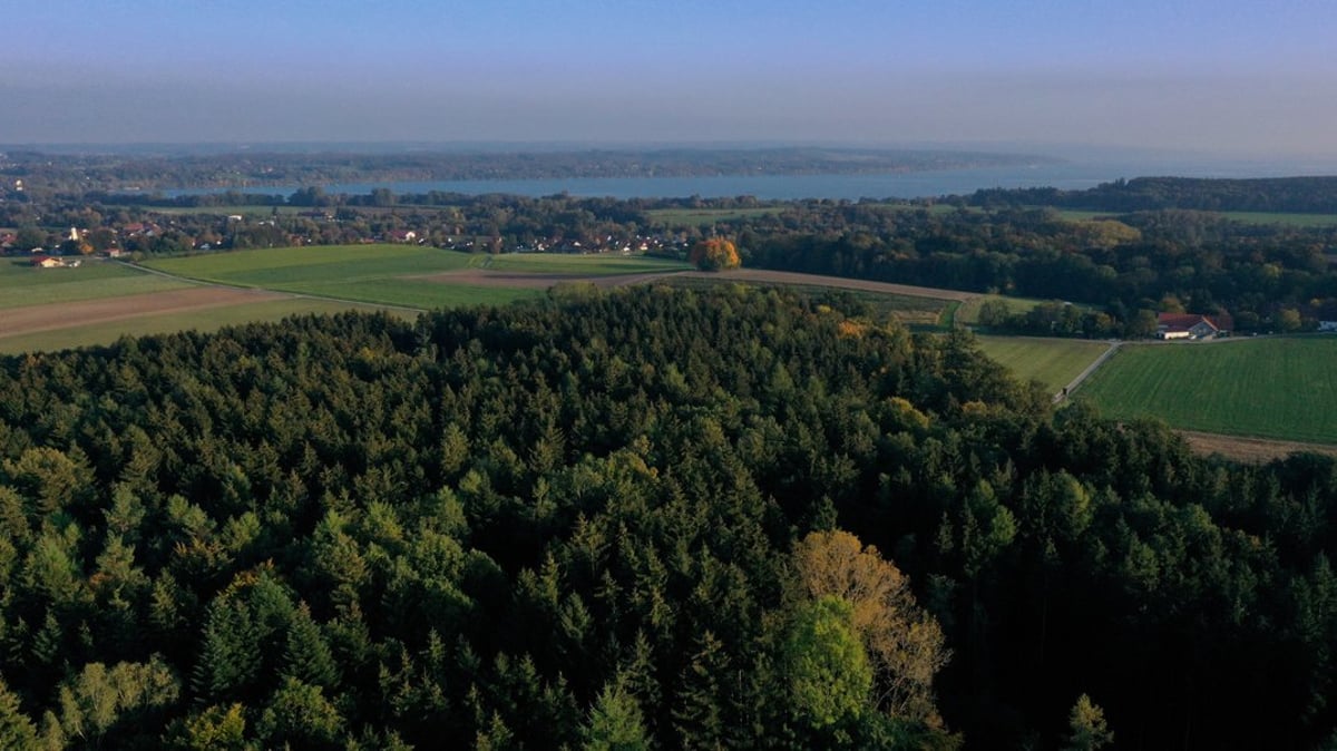 Vorsorge-Spaziergang am Naturfriedhof Ammersee