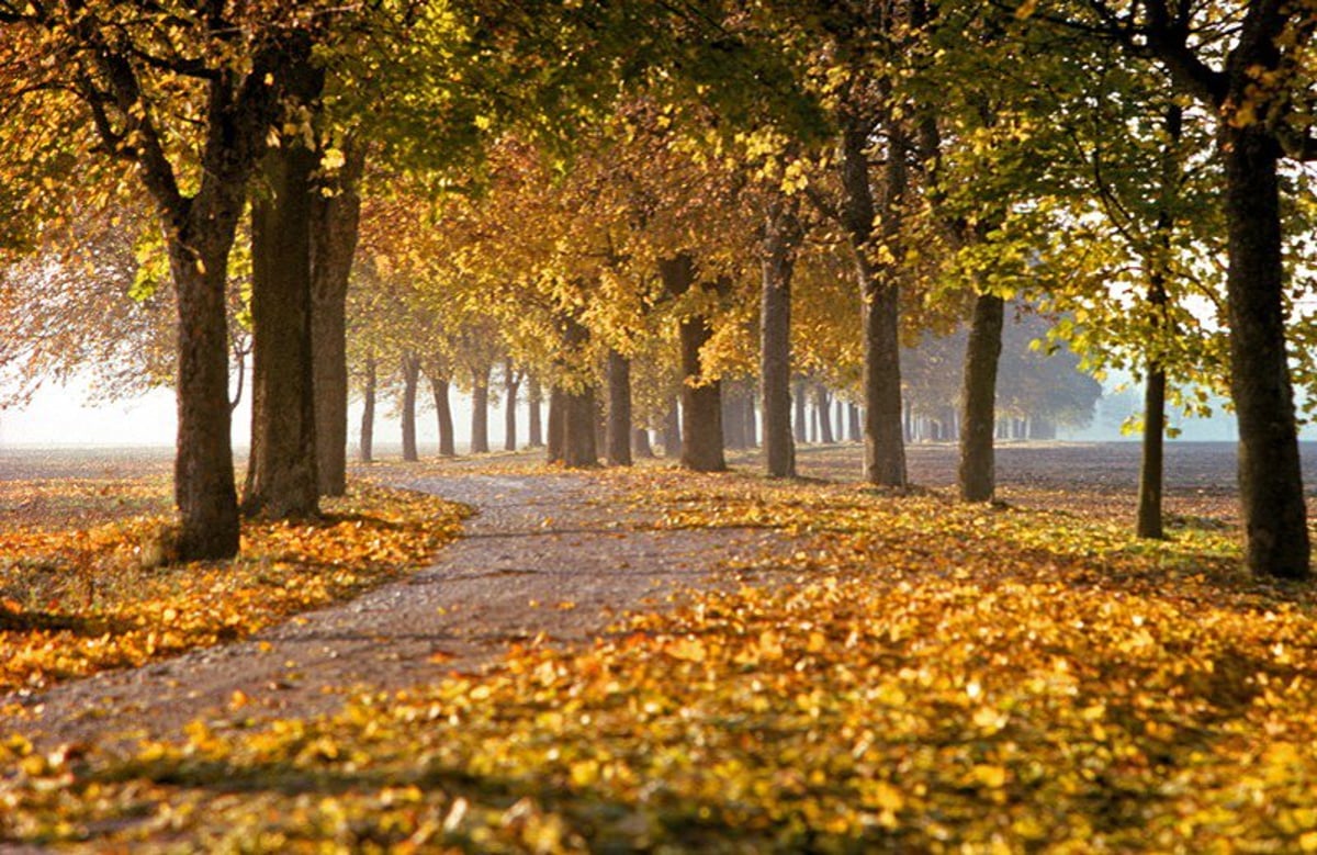 Spätherbst im Ostpark – eine naturkundliche Wanderung