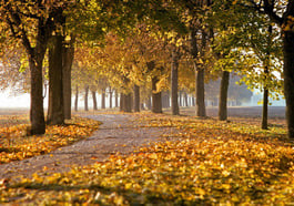 Spätherbst im Ostpark – eine naturkundliche Wanderung