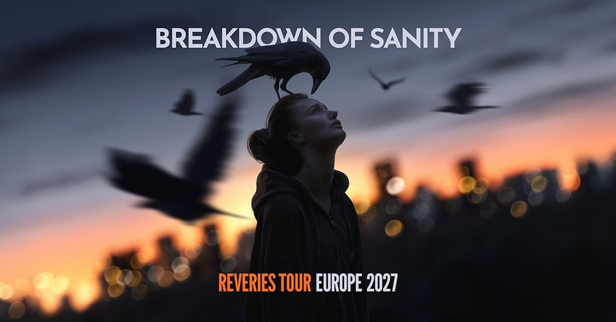 Breakdown Of Sanity