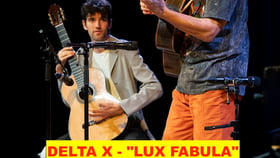 Delta X