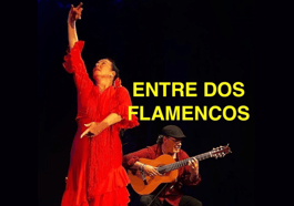 Entre dos Flamencos