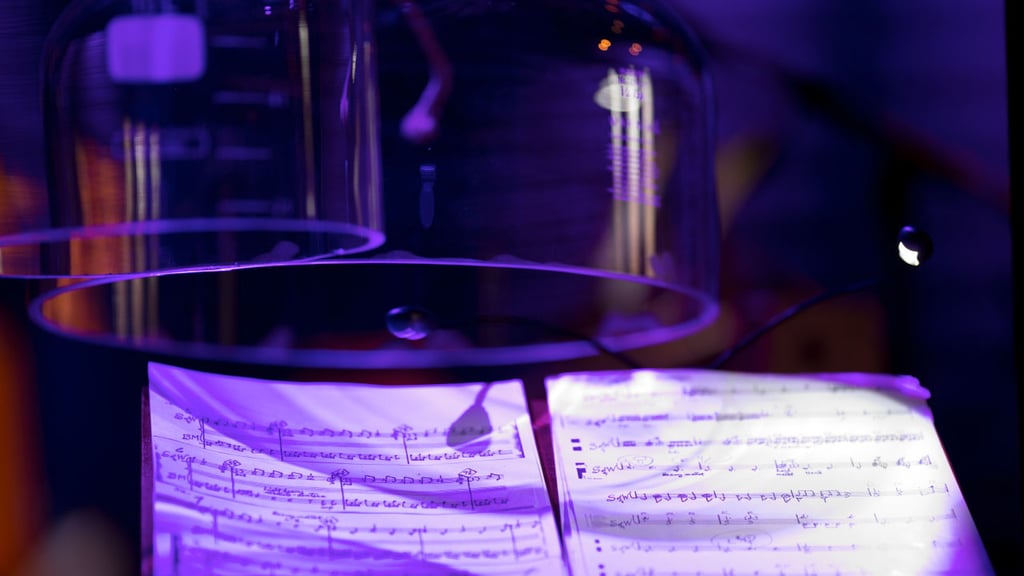 musica viva BR München