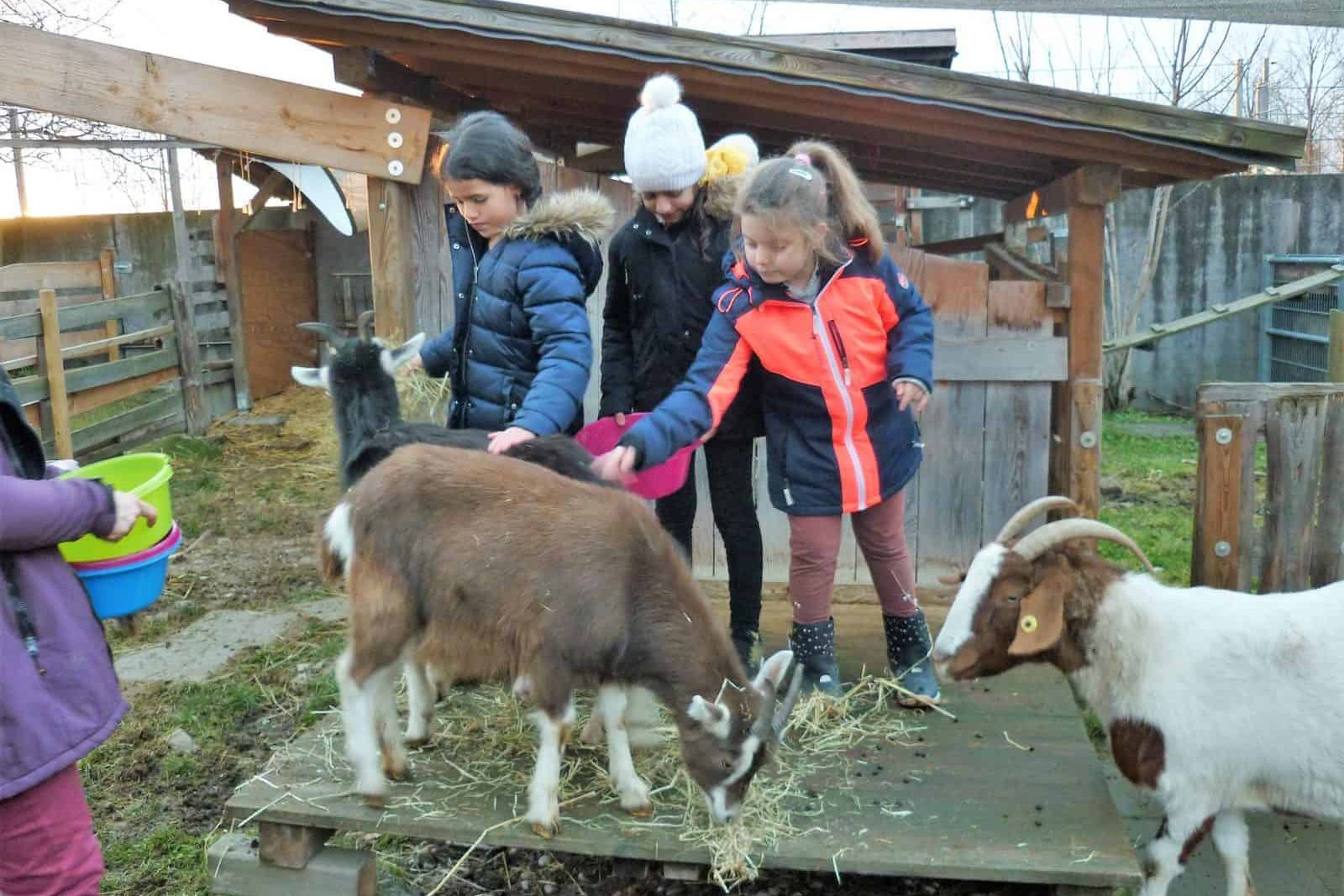 Abenteuerspielplatz München: Quax-Spielplatz Messestadt