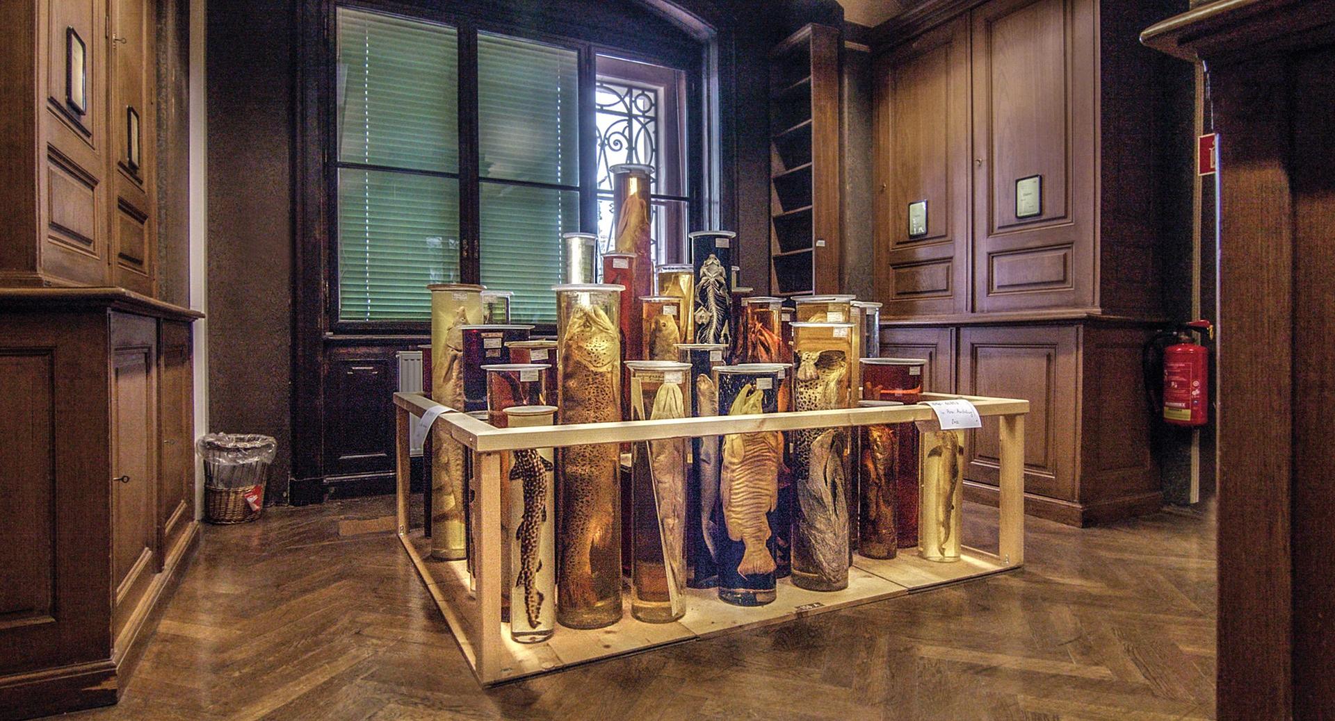 Bilder aus Archiv der Zukunft